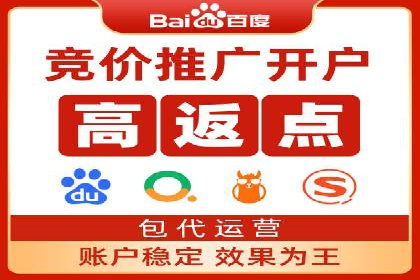 百度竞价代理实战：案例剖析与优化策略
